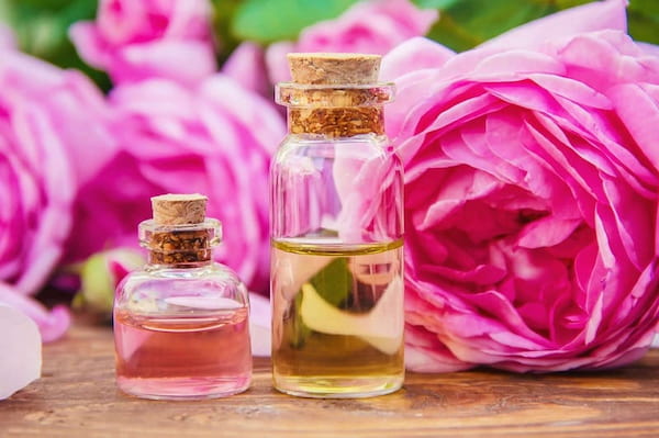 قیمت روز گلاب دو آتیشه کاشان